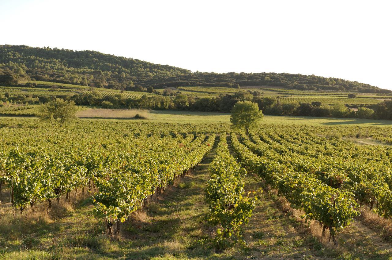Domaine De Pelican Gignac  Exteriör bild