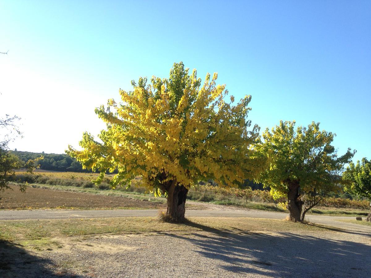 Domaine De Pelican Gignac  Exteriör bild